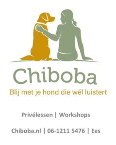 Hondenschool Chiboba in Ees